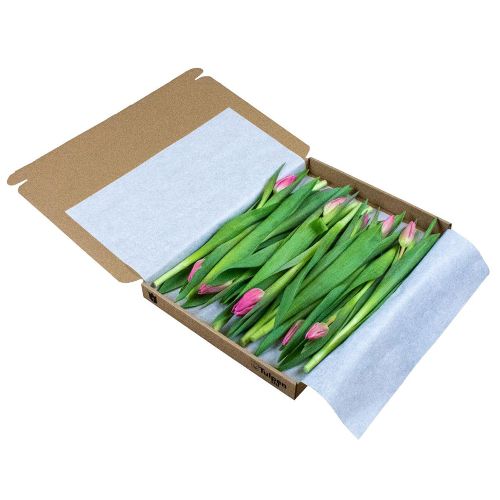 Tulips in giftbox - Image 3
